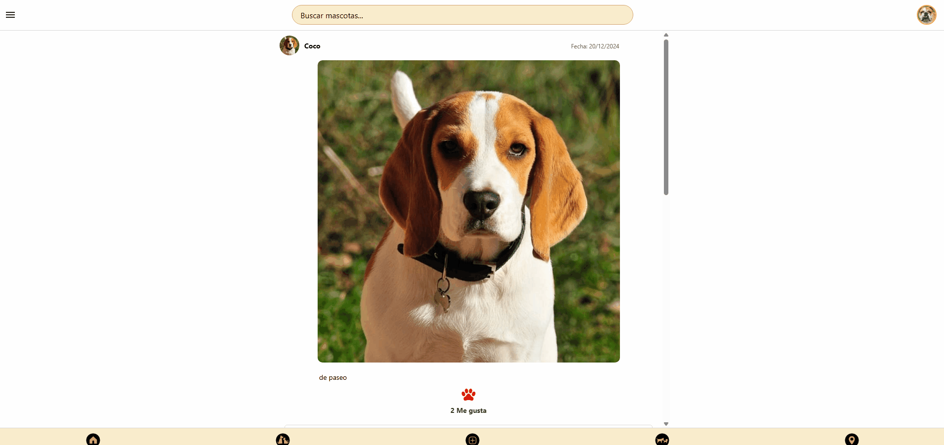 Mascoteando - Plataforma social para dueños de mascotas